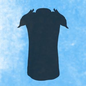Armor Of Necrotic Resistance - Ring mail